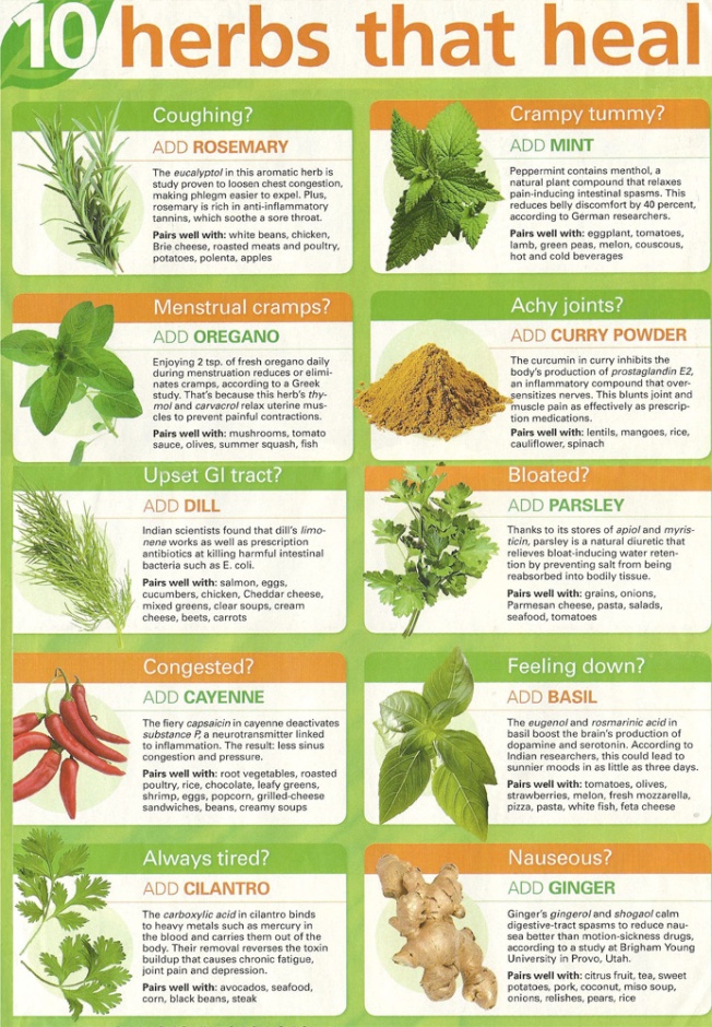 10 Herbs that Heal
