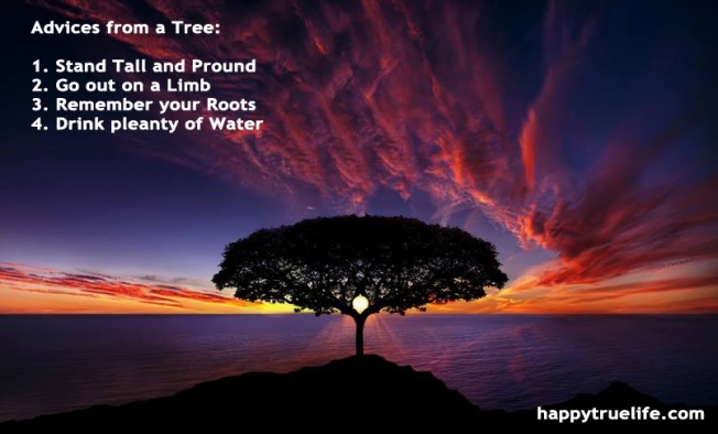 Wisdom of trees