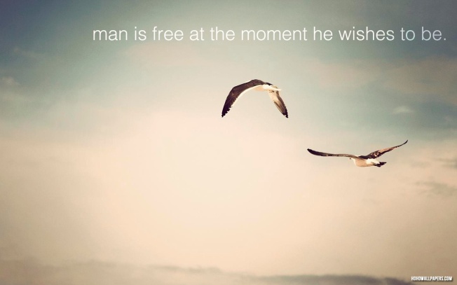 man-is-free-at-the-moment-he-wished-to-be-birds-quote