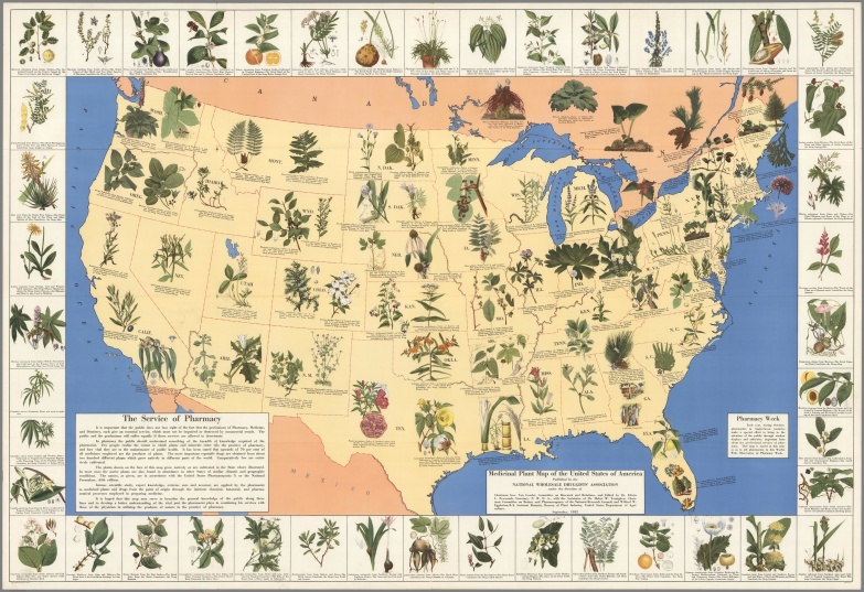Medicinal Plants of America